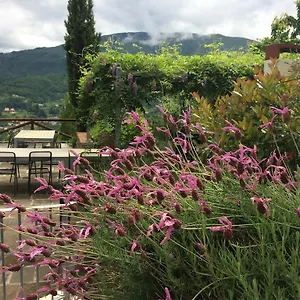 Agriturismo Braccicorti Pieve Fosciana